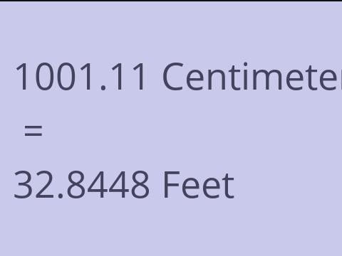 1001.11 CM TO FEET