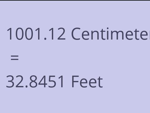 1001.12 CM TO FEET