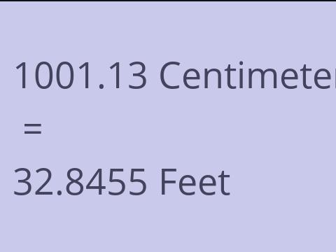 1001.13 CM TO FEET