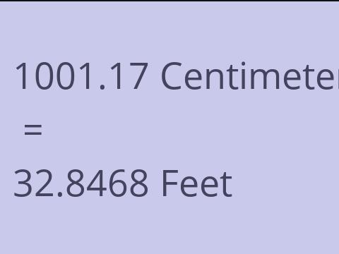 1001.17 CM TO FEET