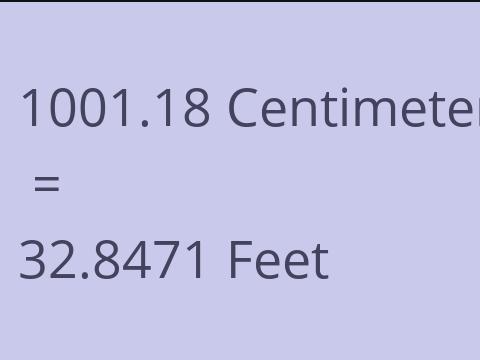 1001.18 CM TO FEET