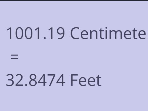 1001.19 CM TO FEET