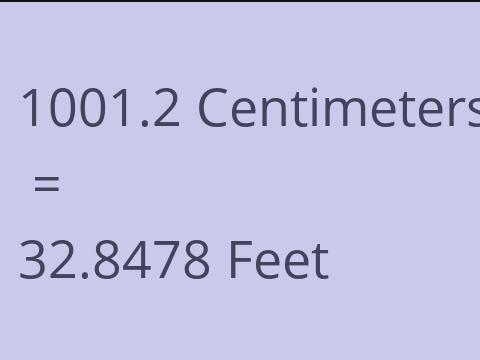 1001.2 CM TO FEET