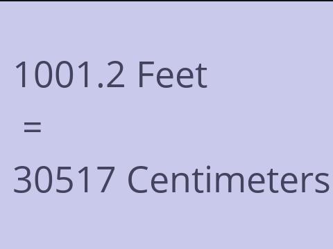 1001.2 FEET TO CM