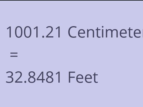 1001.21 CM TO FEET