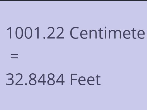 1001.22 CM TO FEET