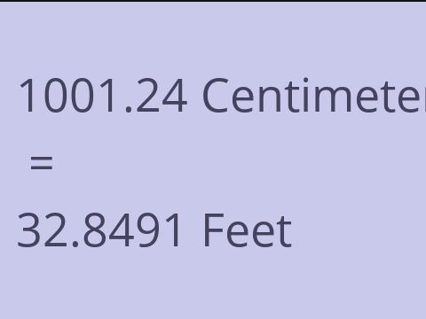 1001.24 CM TO FEET