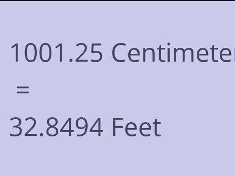 1001.25 CM TO FEET