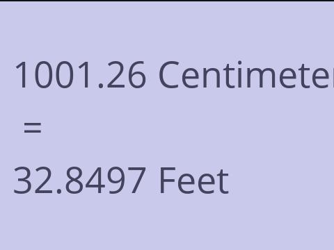 1001.26 CM TO FEET