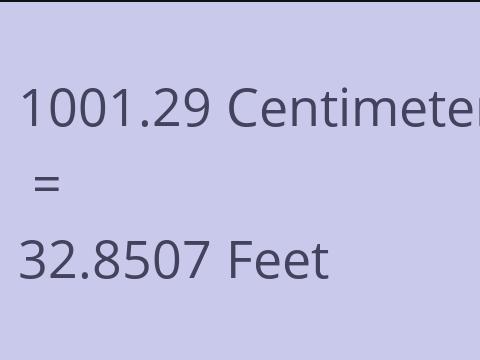 1001.29 CM TO FEET