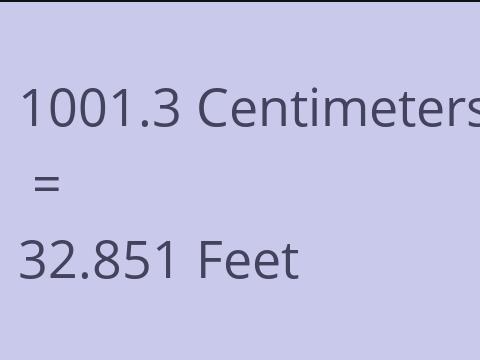 1001.3 CM TO FEET