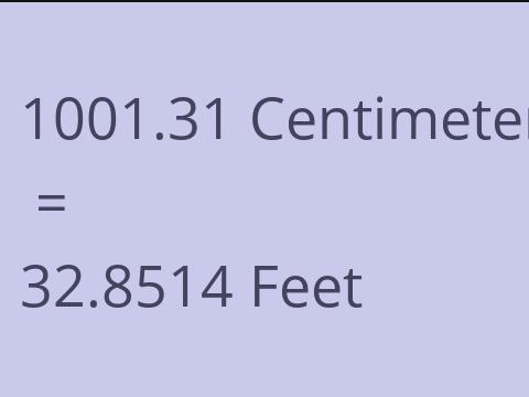 1001.31 CM TO FEET