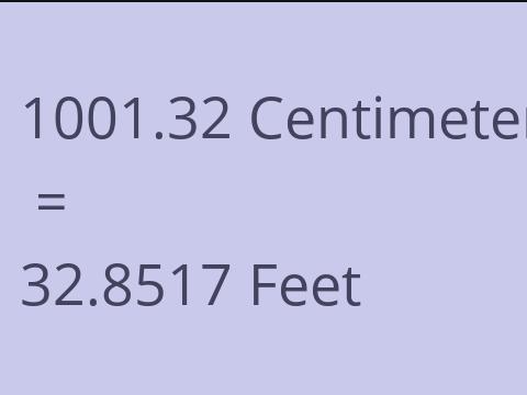 1001.32 CM TO FEET