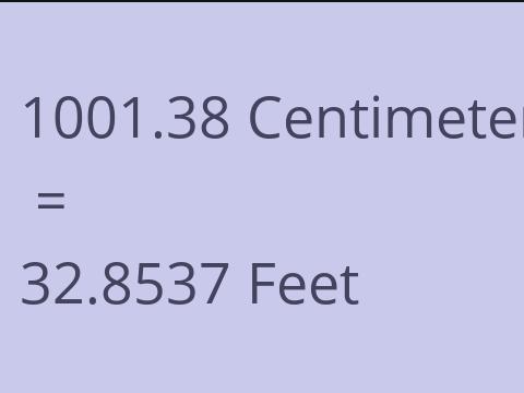 1001.38 CM TO FEET