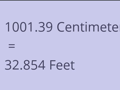 1001.39 CM TO FEET