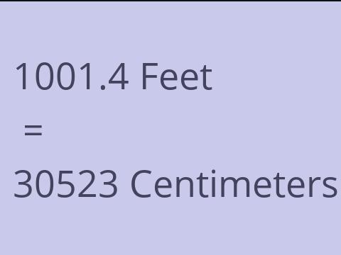 1001.4 FEET TO CM