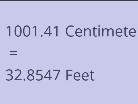 1001.41 CM TO FEET