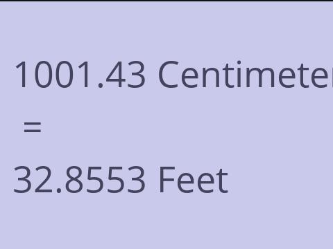 1001.43 CM TO FEET