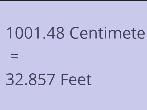 1001.48 CM TO FEET