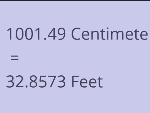 1001.49 CM TO FEET