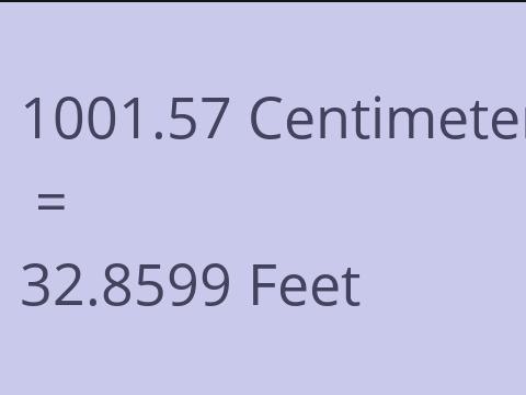 1001.57 CM TO FEET