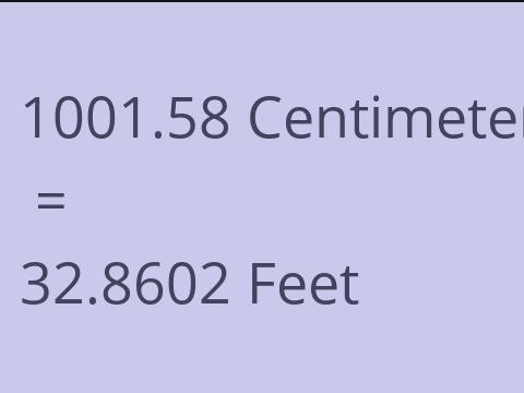 1001.58 CM TO FEET