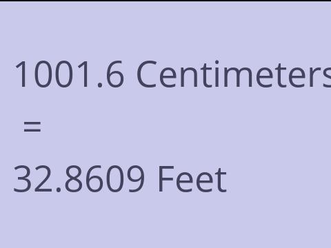 1001.6 CM TO FEET