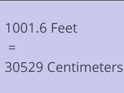 1001.6 FEET TO CM