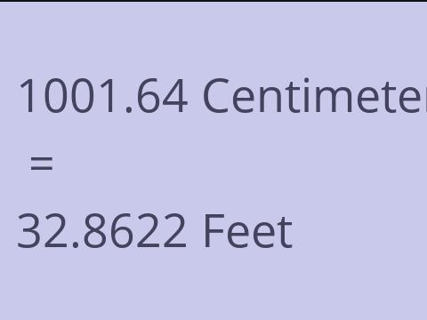 1001.64 CM TO FEET