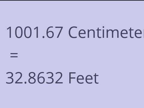 1001.67 CM TO FEET