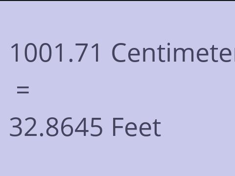 1001.71 CM TO FEET