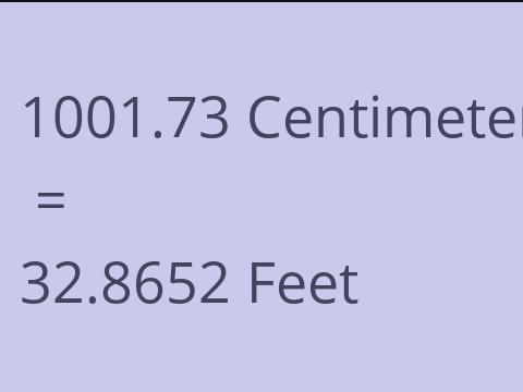 1001.73 CM TO FEET