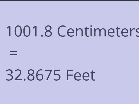 1001.8 CM TO FEET