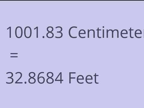 1001.83 CM TO FEET