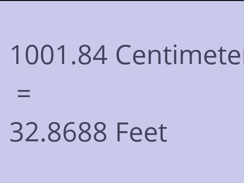 1001.84 CM TO FEET