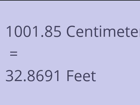 1001.85 CM TO FEET