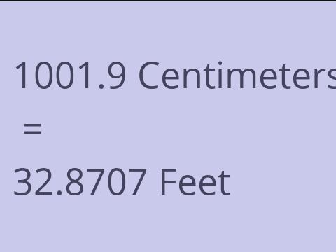 1001.9 CM TO FEET