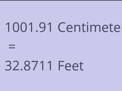 1001.91 CM TO FEET