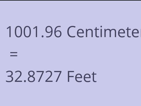 1001.96 CM TO FEET