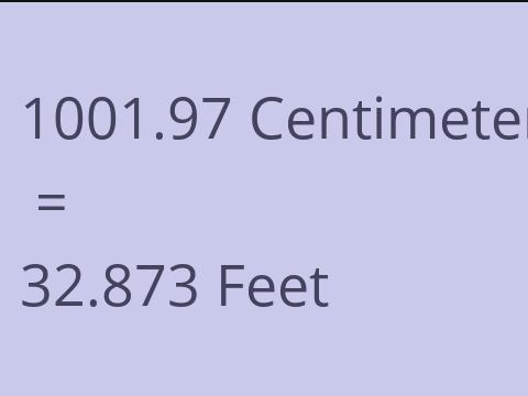 1001.97 CM TO FEET