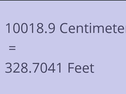 10018.9 CM TO FEET