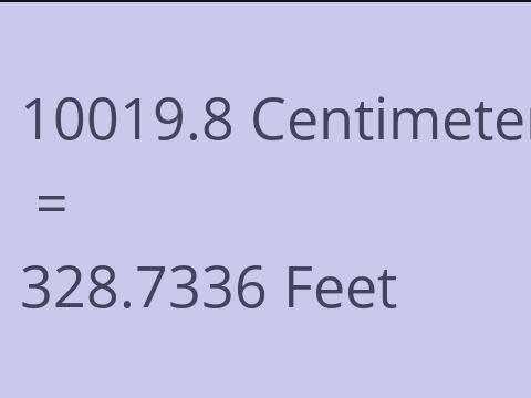 10019.8 CM TO FEET