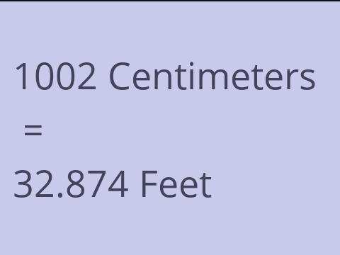 1002 CM TO FEET