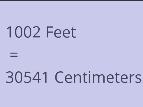 1002 FEET TO CM