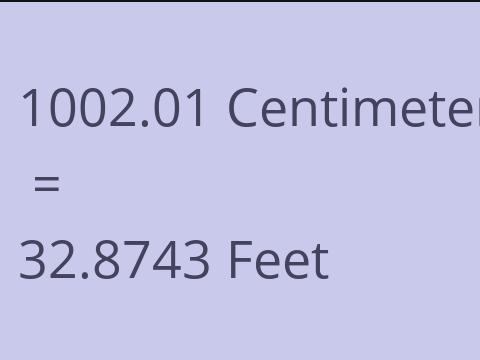 1002.01 CM TO FEET