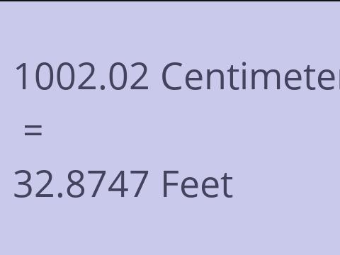 1002.02 CM TO FEET