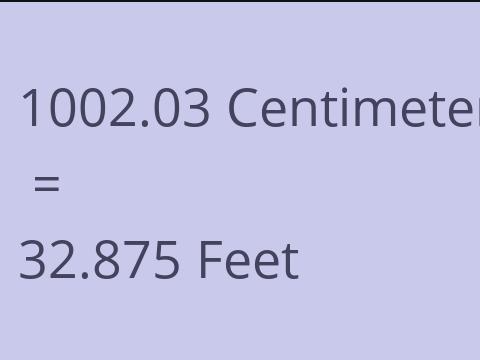 1002.03 CM TO FEET