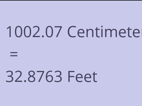 1002.07 CM TO FEET