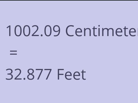 1002.09 CM TO FEET