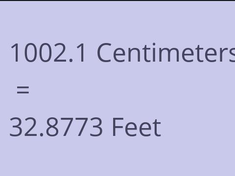 1002.1 CM TO FEET